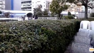 欧美小麦色美女照_欧美亚洲精品成人视频